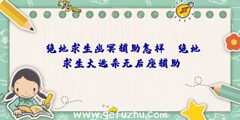 「绝地求生幽冥辅助怎样」|绝地求生大逃杀无后座辅助